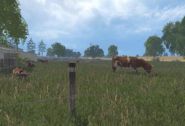 MODELS COWS v3.0