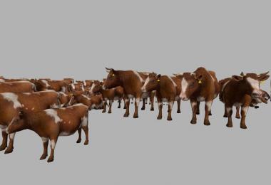 MODELS COWS v3.0