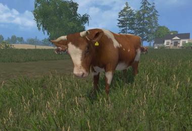 MODELS COWS v3.0