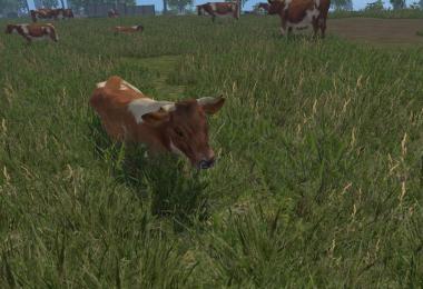 MODELS COWS v3.0