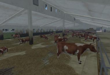 MODELS COWS v3.0
