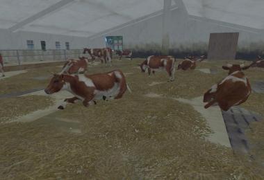 MODELS COWS v3.0