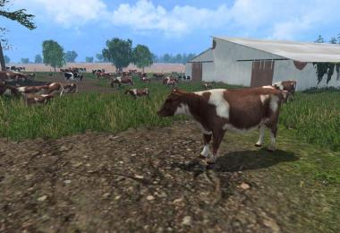 MODELS COWS v3.0