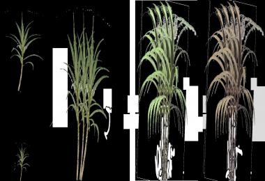 Mods Molasses Production Plant v1.0