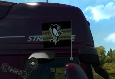 Pittsburgh Penguins Flags 1.24