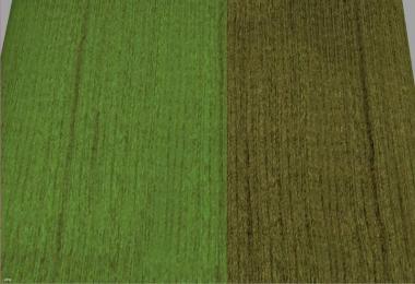 Silage texture v1.0