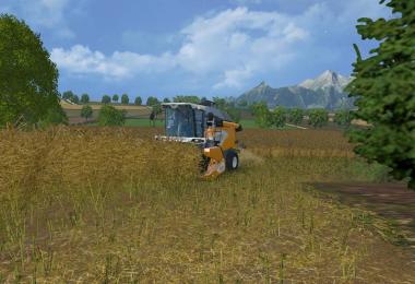 Weizen Textur von Gerste und Raps v4