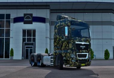 Camouflage Skin for all Truck v1.0.2