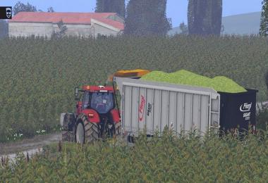 Map Tierra Italica Beta