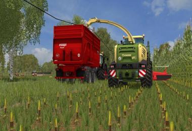 Northern Germany by Tobsn333 v1.0