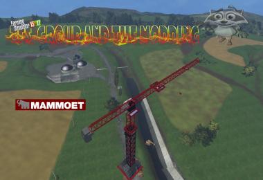 TFSG TOWER CRANE TFSGROUP