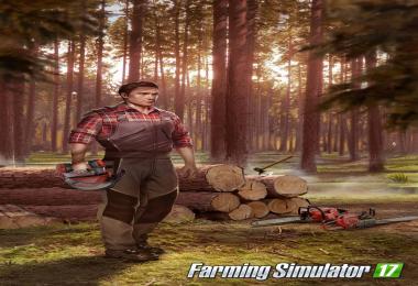 Discover the new map in FS2017