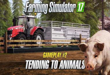Gameplay #2: Tending to Animals
