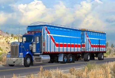 KENWORTH W900 TORTON NEW