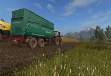 Grave Meier dumpers v1.0