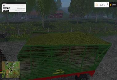 Dithmarscher Geest V1