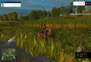 Equestrian woman drivable