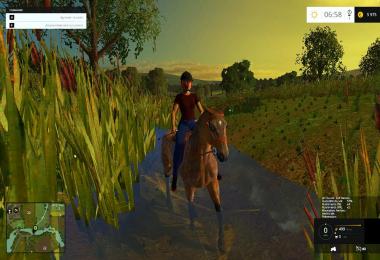 Equestrian woman drivable