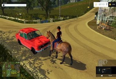 Equestrian woman drivable