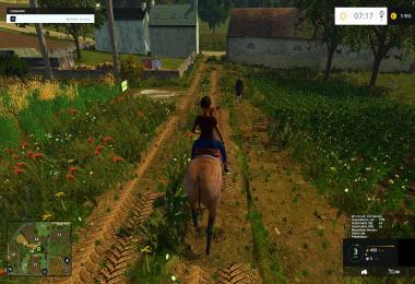 Equestrian woman drivable