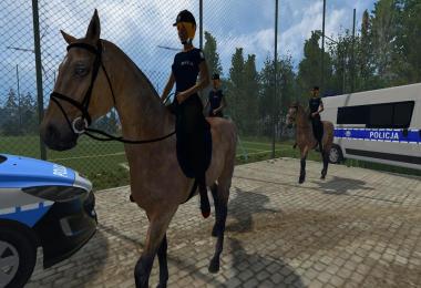 Equestrian woman drivable