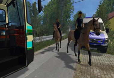 Equestrian woman drivable