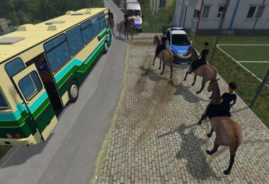 Equestrian woman drivable