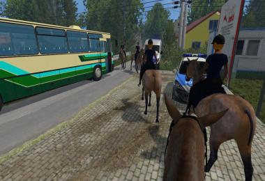 Equestrian woman drivable