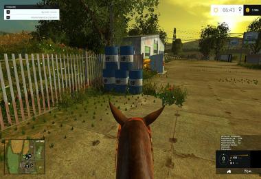 Equestrian woman drivable