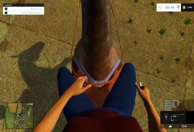 Equestrian woman drivable