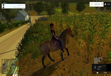 Equestrian woman drivable