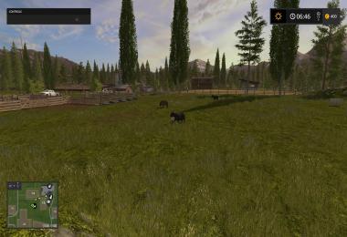 Gold Crest Edit by Stevie v1.0