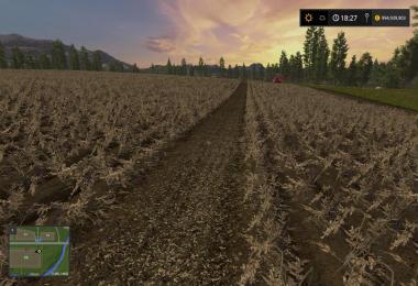 Grimme SE260 with Halum Separation v1