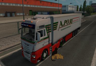 MAN TGX and MAN TGX Euro 6 A.Pouls skin 1.25