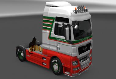 MAN TGX and MAN TGX Euro 6 A.Pouls skin 1.25