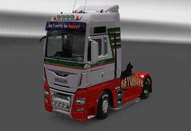 MAN TGX and MAN TGX Euro 6 A.Pouls skin 1.25