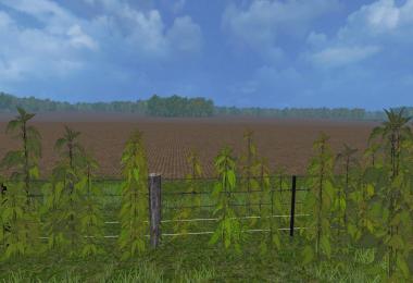 Nettles foliage texture v1.0