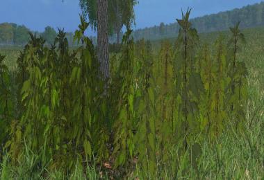 Nettles foliage texture v1.0