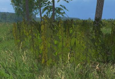 Nettles foliage texture v1.0