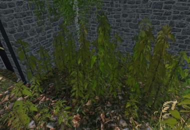 Nettles foliage texture v1.0