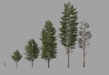 Pack Tree v1.0