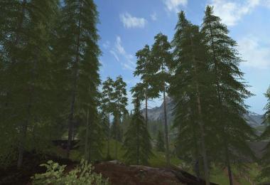 Placeable Pine (Standard Set) v1