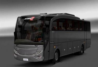 Mercedes Benz Jetbus