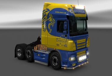 DAF XF 105 50k Lindhold b.v. skin 1.25