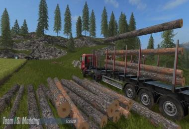 Fliegl Timber Runner with AutoLoadWood script v1.0.0.17