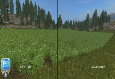 Forgotten Plants - Soybean v1.0