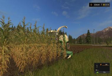 FS17 corn texture v1.0.0