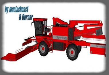 Holmer Terra Felis v1