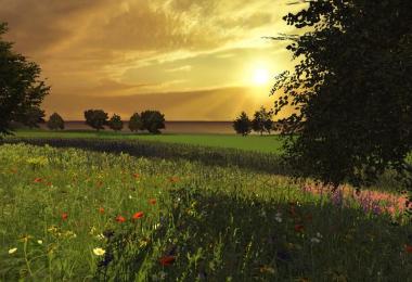 MR Green Iron Horse Farm v4.0 Redone