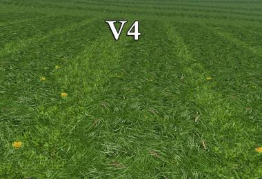 New grass texture v4